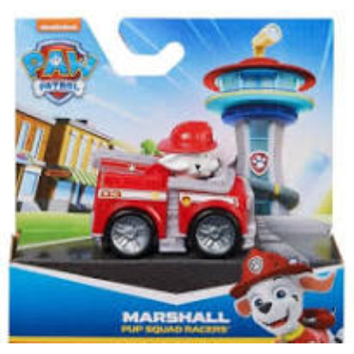 PAW PATROL- PUP SQUAD RACER ASS.