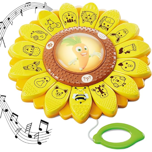 $ CAROT- IL GIRASOLE EDUCATIVO