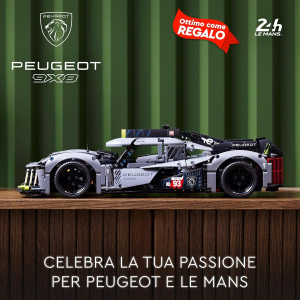 TECHNIC - PEUGEOT 2AH LE MANS HIBRID