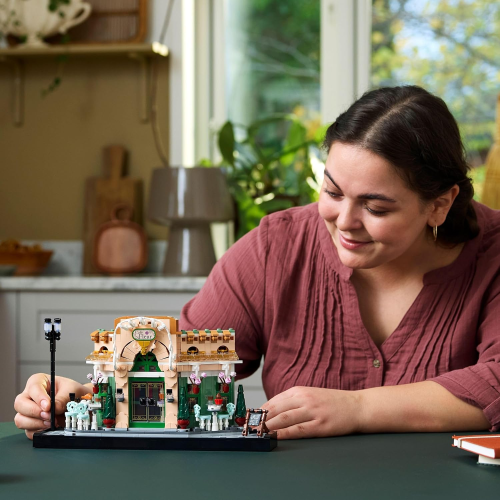 ICONS - CAF FRANCESE