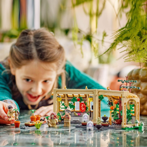 H. POTTER-CASTELLO DI HOGWARTS LEZION.....