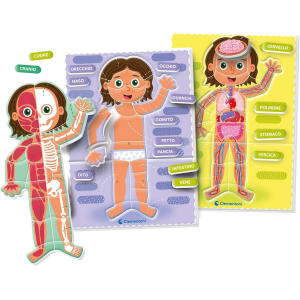 SAP- MTSS- IL CORPO UMANO