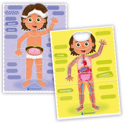 SAP- MTSS- IL CORPO UMANO