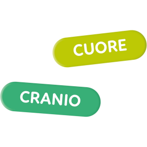 SAP- MTSS- IL CORPO UMANO