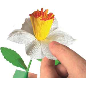 CREA IDEA - CREA IL TUO FIORE NARCISO