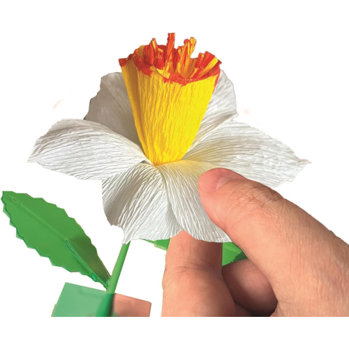 CREA IDEA - CREA IL TUO FIORE NARCISO