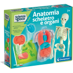 S&G - ANATOMIA SQUISHY