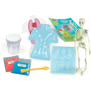 S&G - ANATOMIA SQUISHY