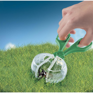 S&G - GEOPOP- IL MONDO DEGLI INSETTI