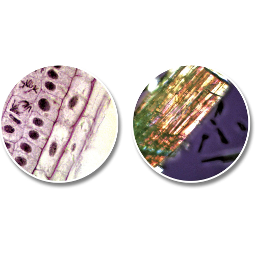 TELESCOPIO 50/60 & MICROSCOPIO 30 X