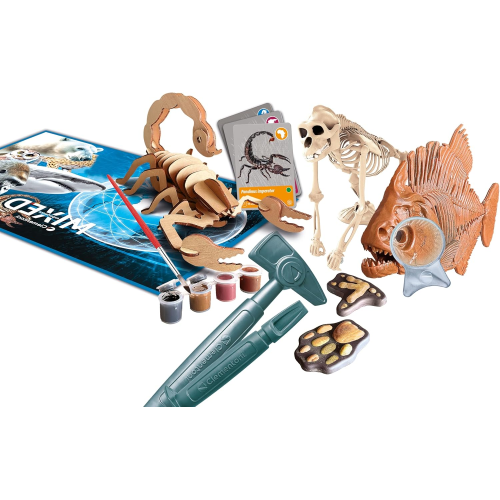 S&G - GLI ANIMALI DEL PIANETA TERRA