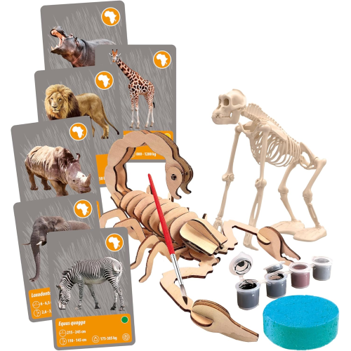 S&G - GLI ANIMALI DEL PIANETA TERRA