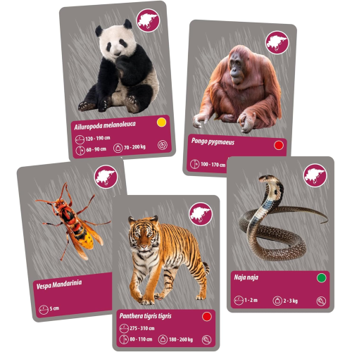 S&G - GLI ANIMALI DEL PIANETA TERRA