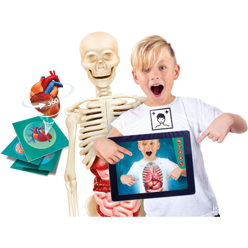 S&G - IL CORPO UMANO