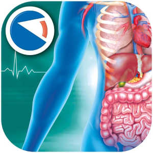 S&G - IL CORPO UMANO