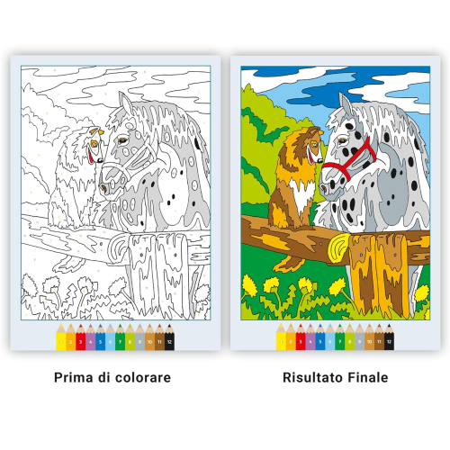 CRE ART LIBRO - CAVALLI