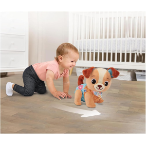 VT- MILO SCODINZOLO E CAMMINO