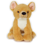 PEL.- ASS.TI IN ESPOS. SMALL