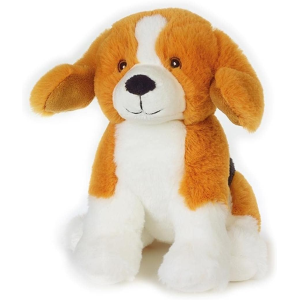 PEL.- ASS.TI IN ESPOS. SMALL