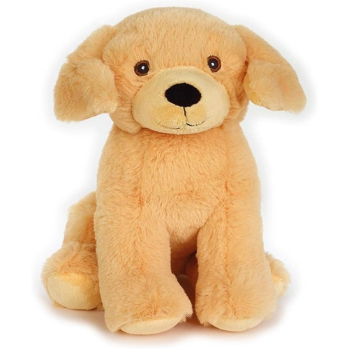 PEL.- ASS.TI IN ESPOS. SMALL