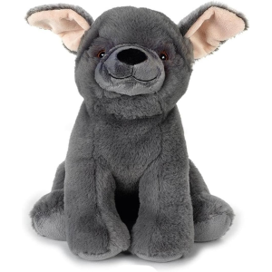 PEL.- ASS.TI IN ESPOS. SMALL