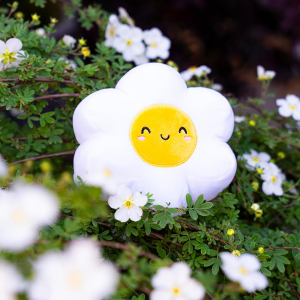 PLUSH - SUPER SOFT - DAISY