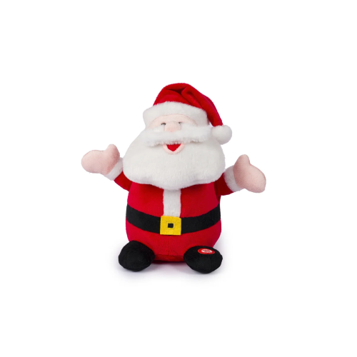 $ PEL.- BABBO NATALE 25 CM L&S MOV CANZ. ITA