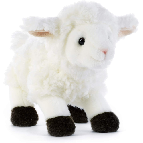 PEL- AGNELLINO KYRAK CM 21