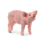 SH- MAIALINO PIGLET