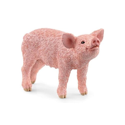 SH- MAIALINO PIGLET