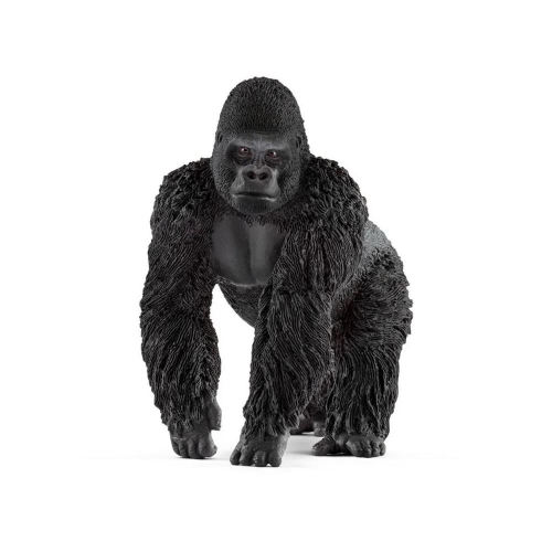 SH- GORILLA MASCHIO