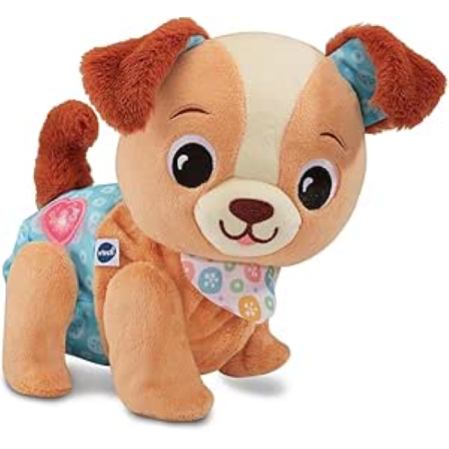 VT- MILO SCODINZOLO E CAMMINO