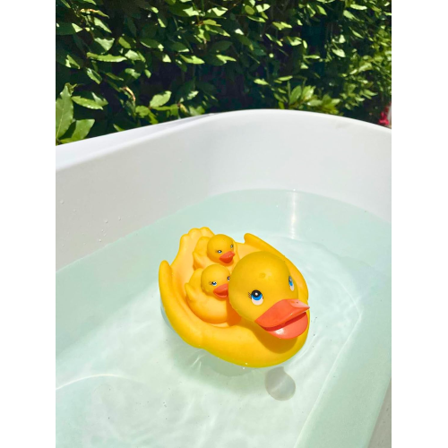 OPPLA´- FAM. BAGNETTO PAPERA CON PAPEROTTI