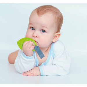 $ B.CLEM- PALESTRINA