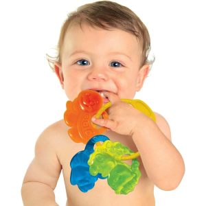 B.CLEM- ANIMALI DEL BOSCO DENTIZIONE