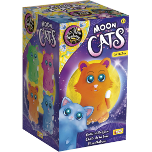 $ HE MOON ACADEMY- MAGIC CATS COLLECTION