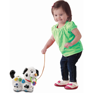 VT- DOG MACCHIA 1,2,3, CANTA & CAMMINA CON ME