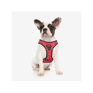 DOG - MINNIE IMBRACATURA XXS - XS