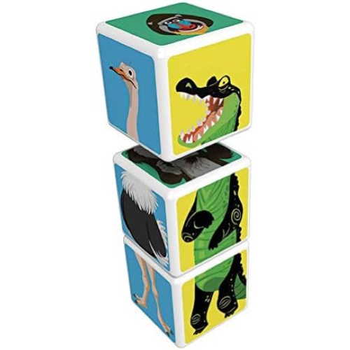 MAGIC CUBE - PEOPLE SAVANA ANIMALS