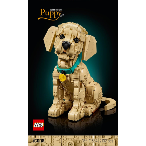 ICONS - CUCCIOLO DI GOLDEN RETRIEVER