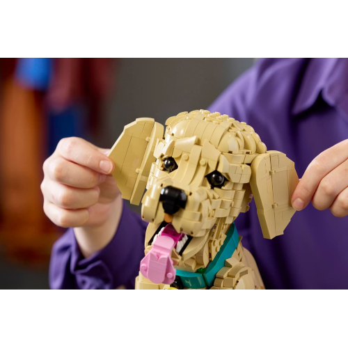 ICONS - CUCCIOLO DI GOLDEN RETRIEVER