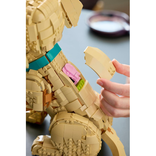 ICONS - CUCCIOLO DI GOLDEN RETRIEVER