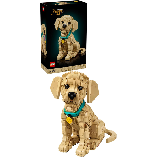 ICONS - CUCCIOLO DI GOLDEN RETRIEVER