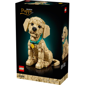 ICONS - CUCCIOLO DI GOLDEN RETRIEVER