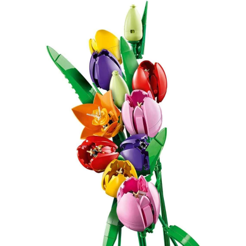 BOTANICALS- BOUQUET DI TULIPANI