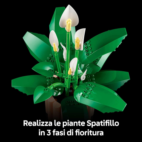 BOTANICALS- SPATIFILLO
