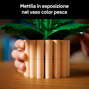 BOTANICALS- SPATIFILLO