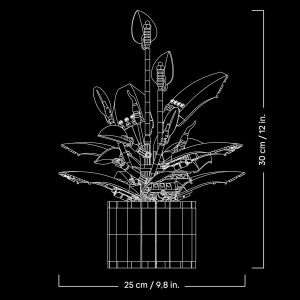 BOTANICALS- SPATIFILLO