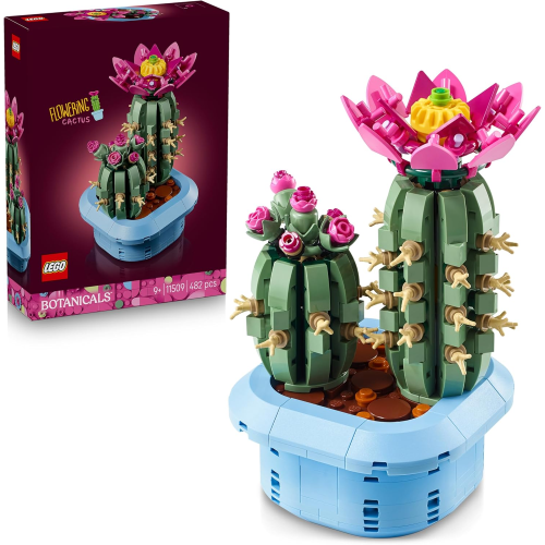 BOTANICALS- CACTUS IN FIORE