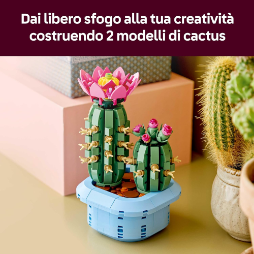 BOTANICALS- CACTUS IN FIORE